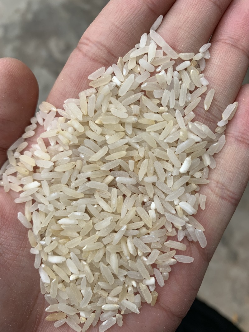 统糠油糠碎米黄米白米陈米，粉米，大量有货