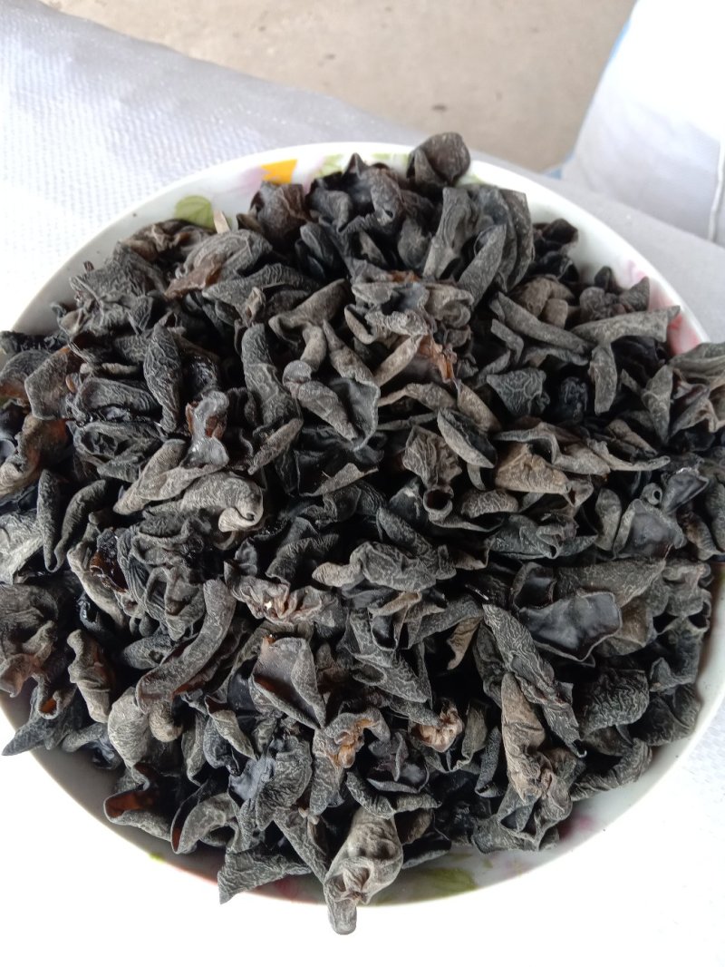 精选新货东北黑木耳敢比质量和价格对接电商地摊质忧价优诚信