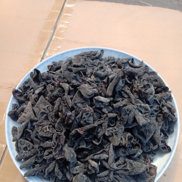 东北黑木耳