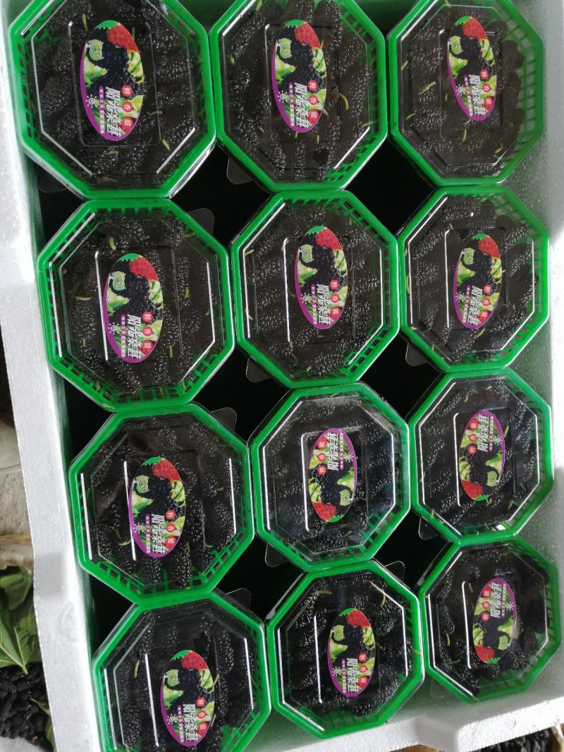大量桑果上市可以做榨汁酿酒果脯干果量大价格便宜