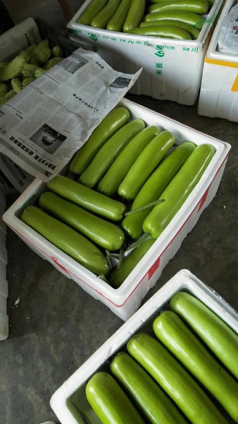 蔬菜
