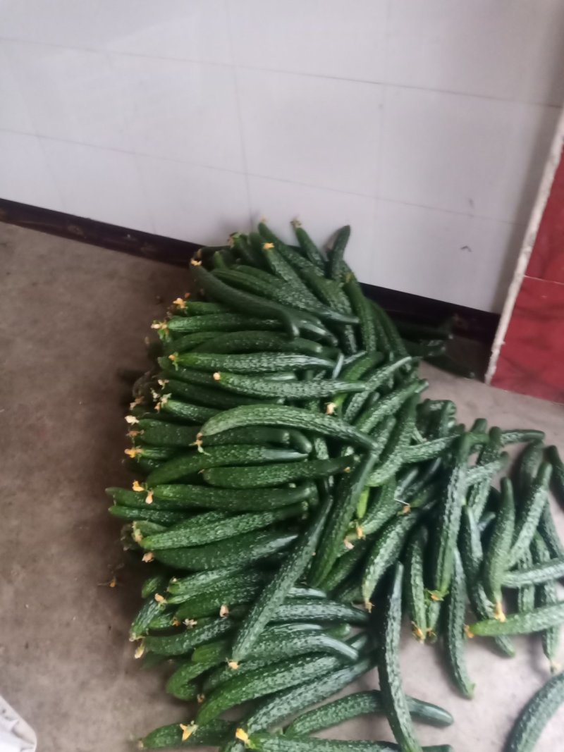 蔬菜