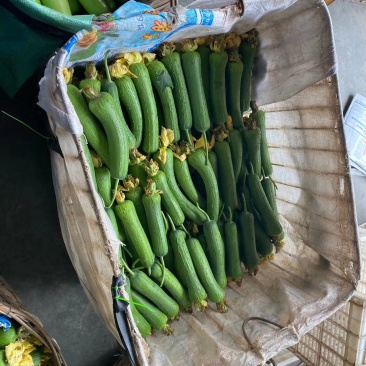 蔬菜