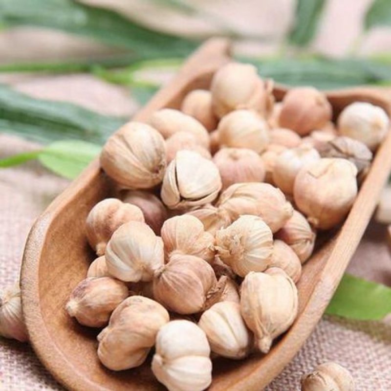 白豆蔻白扣白蔻正品无硫各种香料批发