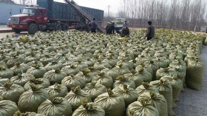 酿酒枣泥枣汁药厂用食品原料枣乐陵金丝小枣产地直发