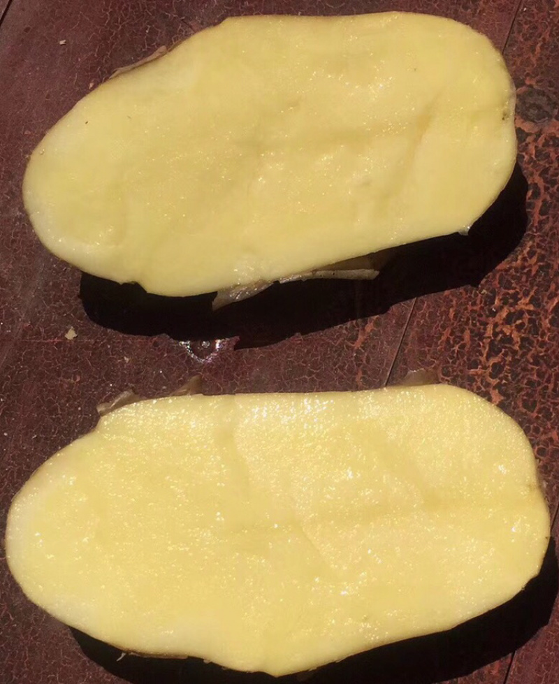 霞浦沙地土豆🥔黄皮黄心二两以上