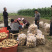 霞浦沙地土豆🥔黄皮黄心二两以上