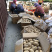 霞浦沙地土豆🥔黄皮黄心二两以上