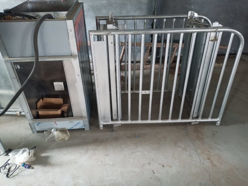 智能粥料器手机遥控电子饲喂器厂家直销