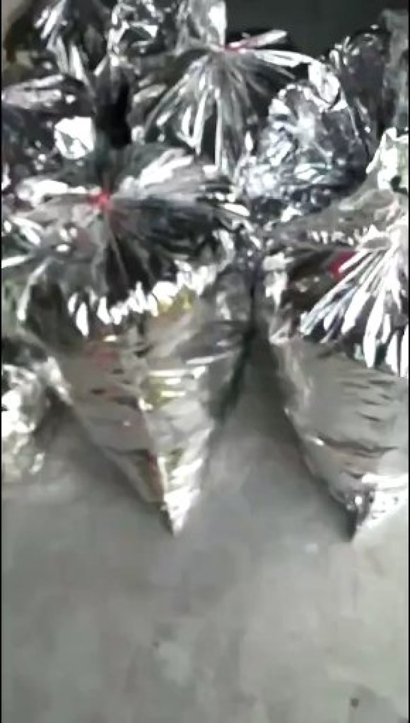 黄金茶一两黄金一两茶！千金难寻明前茶！保靖黄金茶