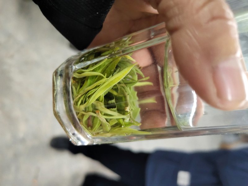 黄金茶一两黄金一两茶！千金难寻明前茶！保靖黄金茶