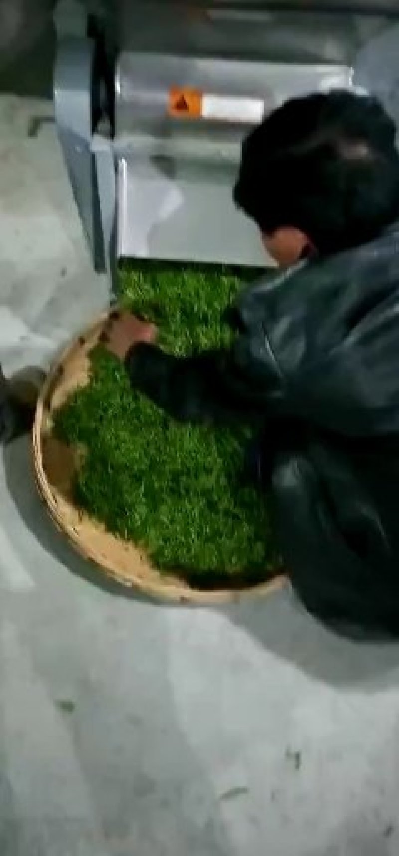 黄金茶一两黄金一两茶！千金难寻明前茶！保靖黄金茶