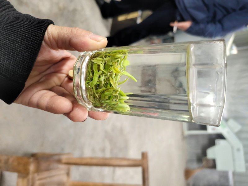 黄金茶一两黄金一两茶！千金难寻明前茶！保靖黄金茶