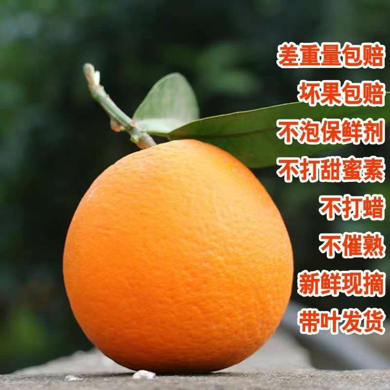 顺丰包新鲜水果奉节脐橙72-1现拍现摘带绿叶非赣南脐橙