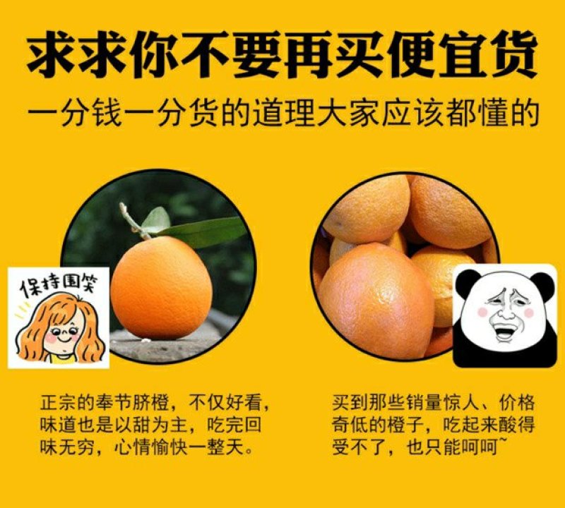 顺丰包新鲜水果奉节脐橙72-1现拍现摘带绿叶非赣南脐橙