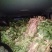 优质红薯苗，人参薯红薯苗拔苗，高剪苗现货大量供应中