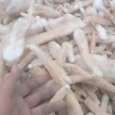 天花粉