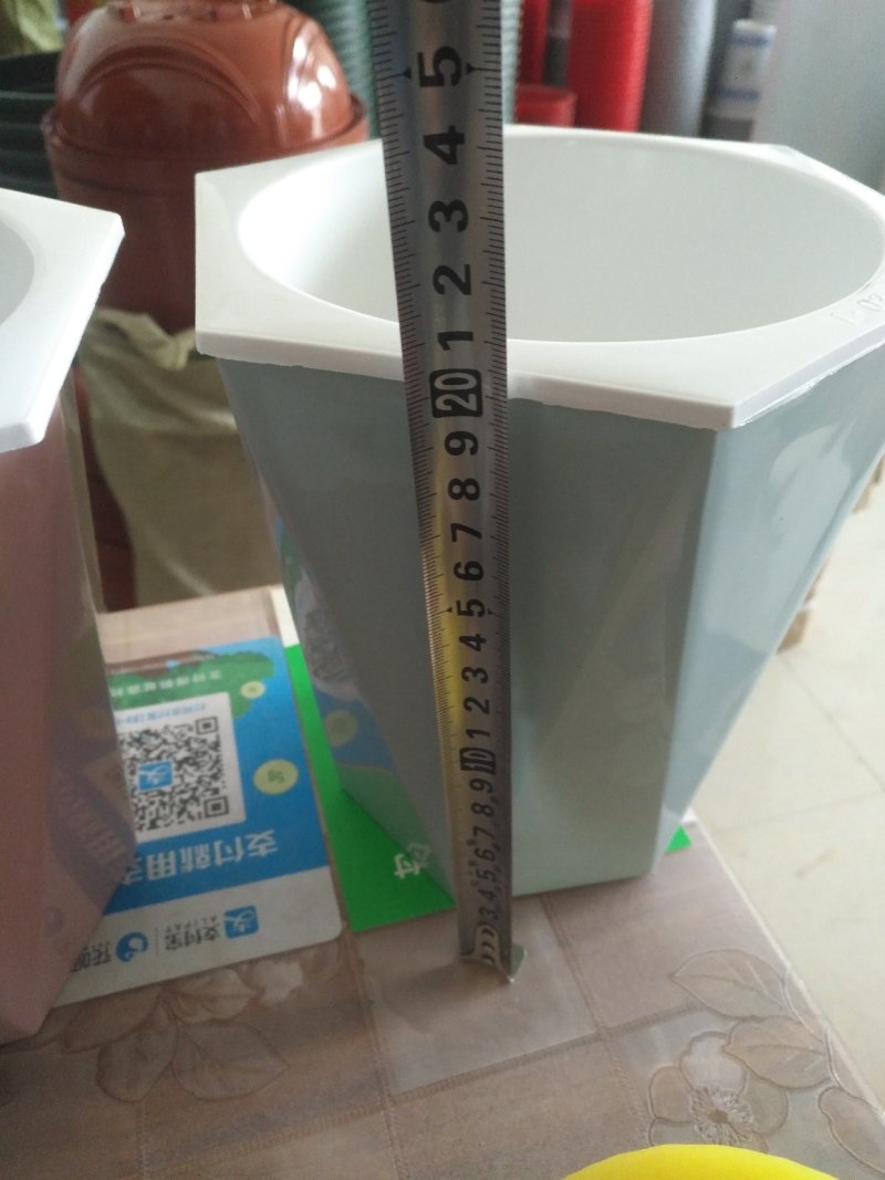 绿植小花吸水盆懒人盆适合办公室家庭不用担心忘记浇水
