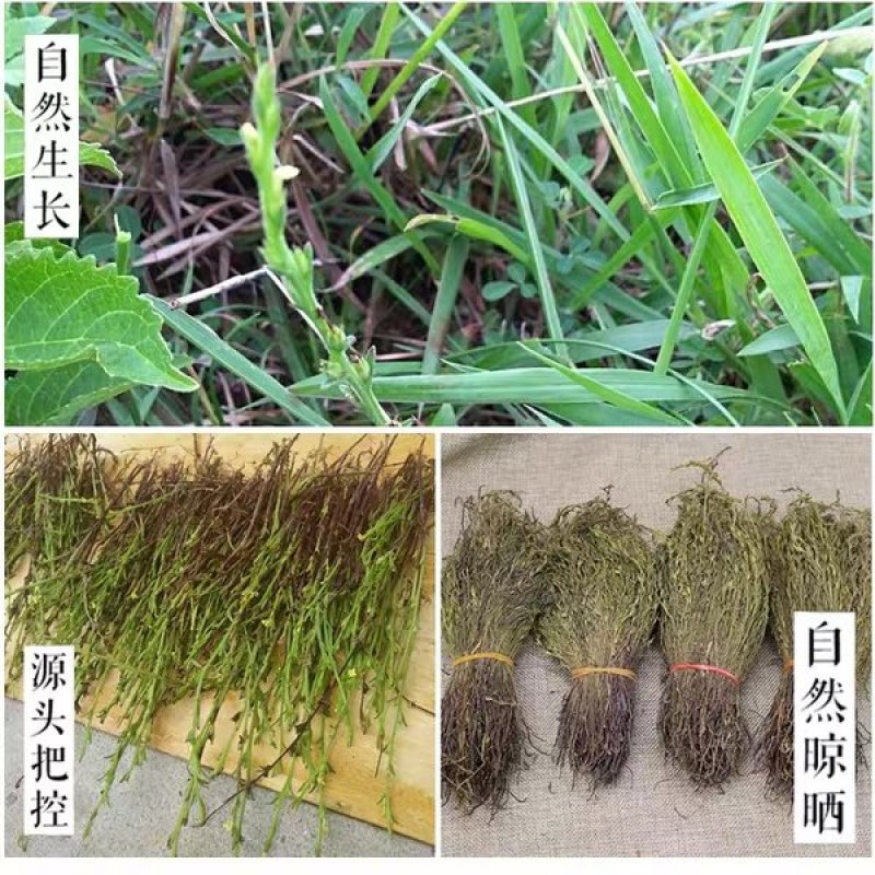 独脚金
