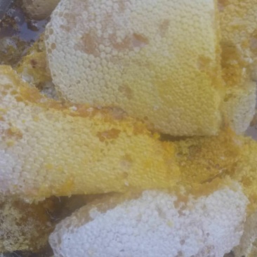 野生树洞蜂蜜，可长期合作，假一赔十