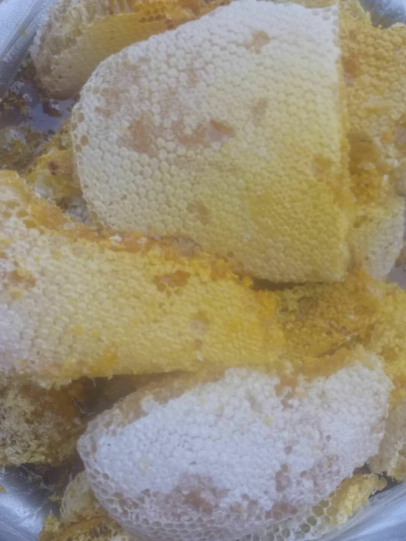 野生树洞蜂蜜，可长期合作，假一赔十