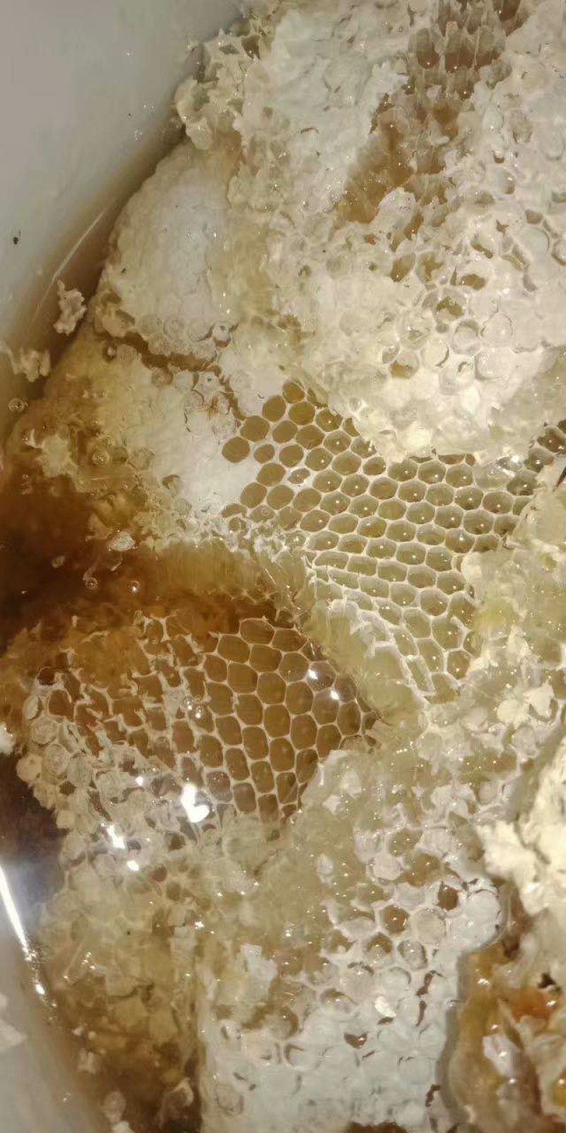 野生树洞蜂蜜，可长期合作，假一赔十
