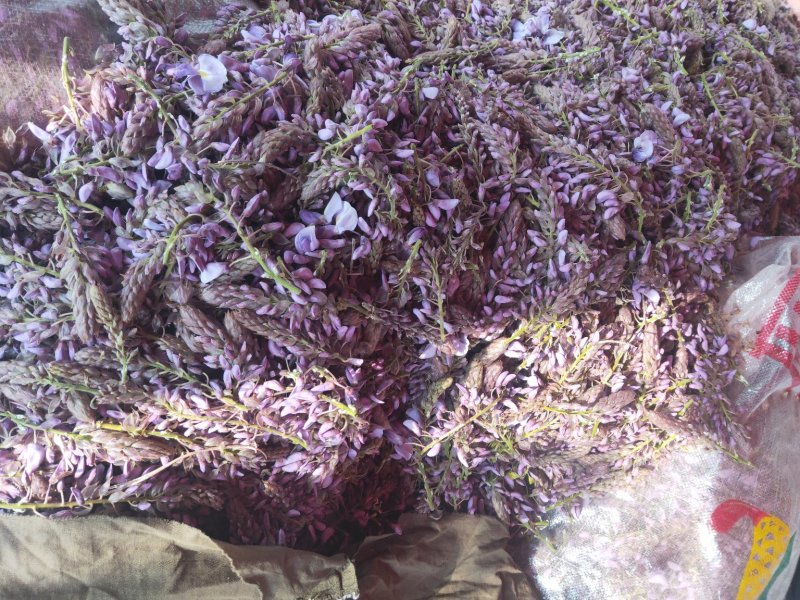 葛花