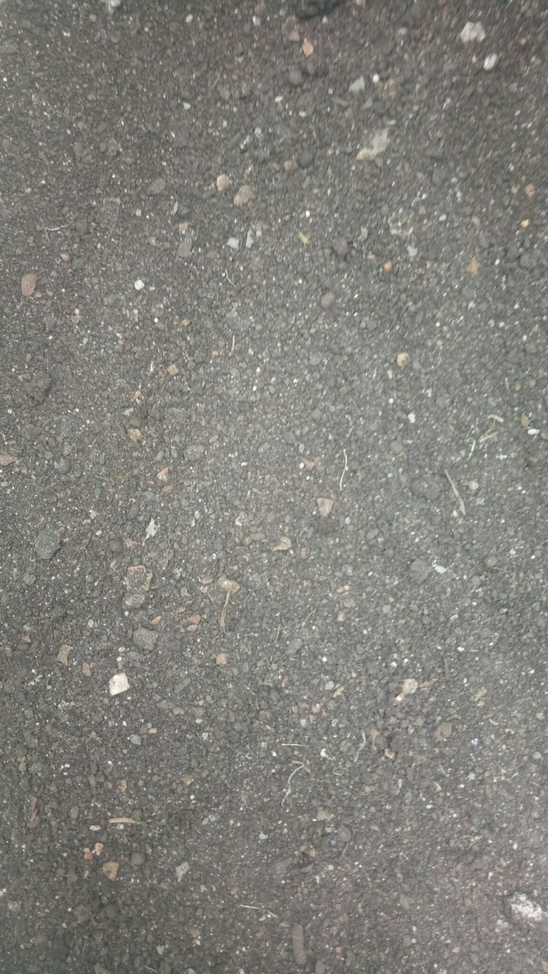 最后三四吨花椒籽饼有机肥，需要的联系我