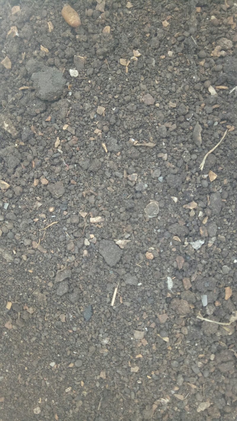 最后三四吨花椒籽饼有机肥，需要的联系我