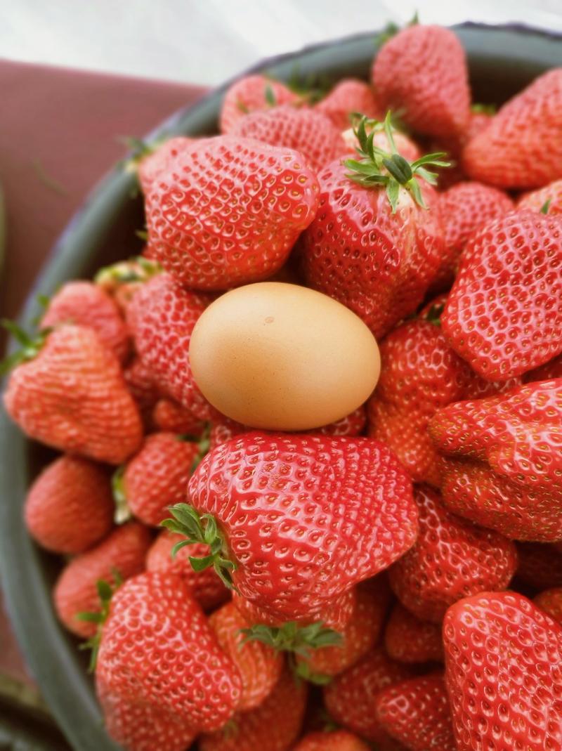红颜奶油草莓章姬香蕉草莓