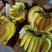 【实力推荐】一年四季供应云南广西香蕉，果面干净口感糯甜，