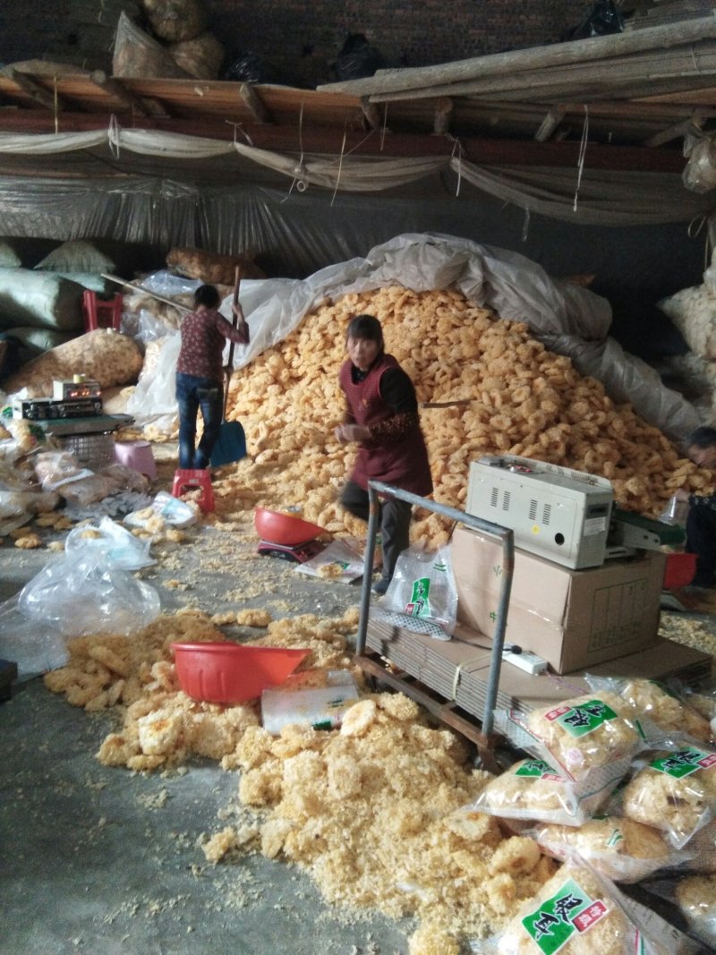 精选古田优质银耳，可做一件代发，诚信经营
