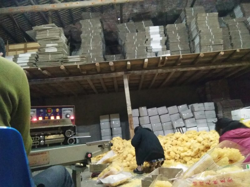精选古田优质银耳，可做一件代发，诚信经营