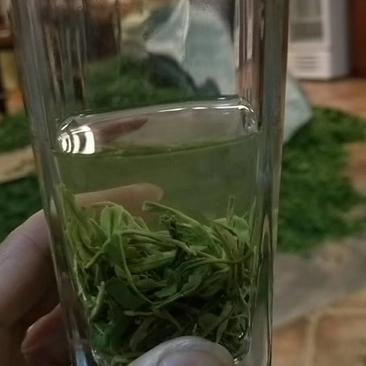 绿茶性价比超高的峨眉山高山素茶[强][强][强]我家的茶