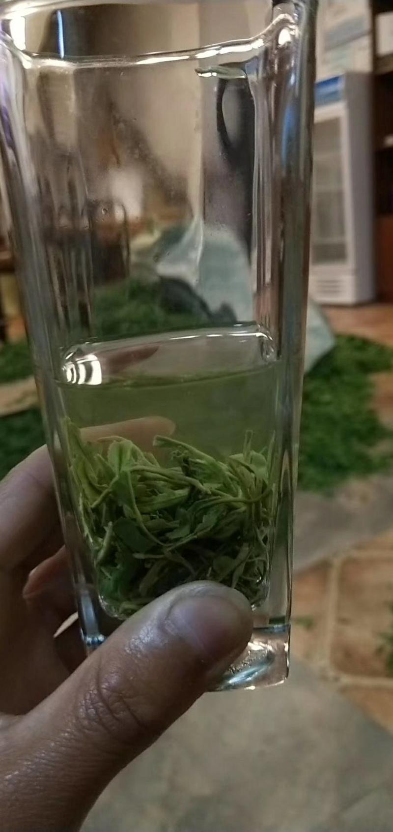 绿茶性价比超高的峨眉山高山素茶[强][强][强]我家的茶