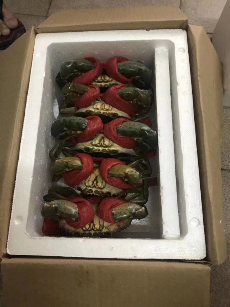 膏蟹。本地膏蟹保质保量