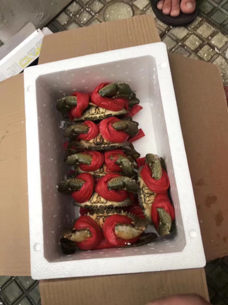 膏蟹。本地膏蟹保质保量