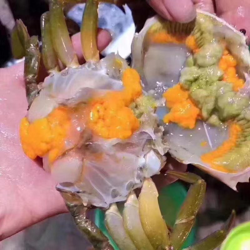 膏蟹。本地膏蟹保质保量