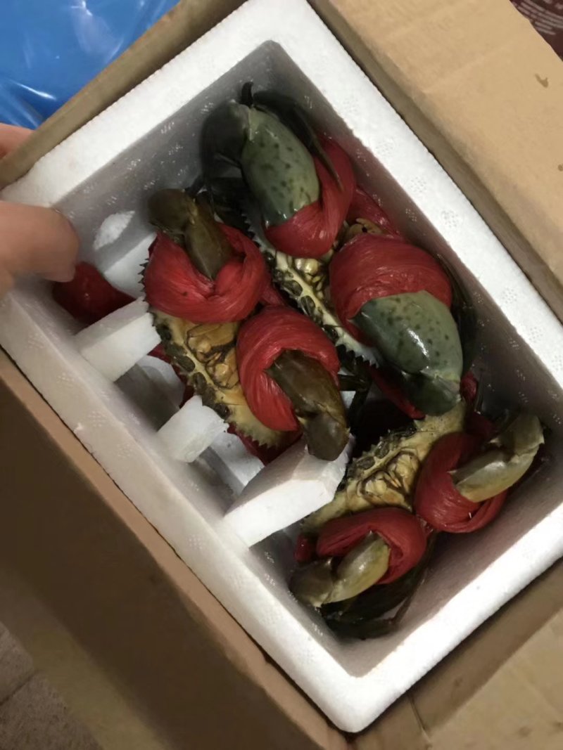 膏蟹。本地膏蟹保质保量