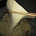 脆皮豆腐