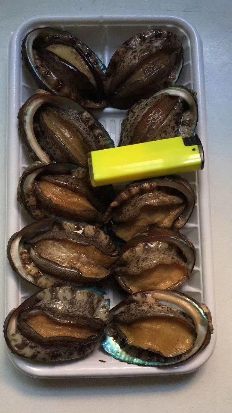 鲍鱼什么规格都有保质保量