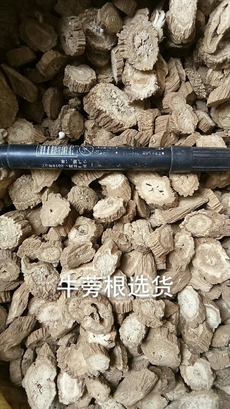 牛蒡根牛蒡统货选货圆片斜片各种规格中药材