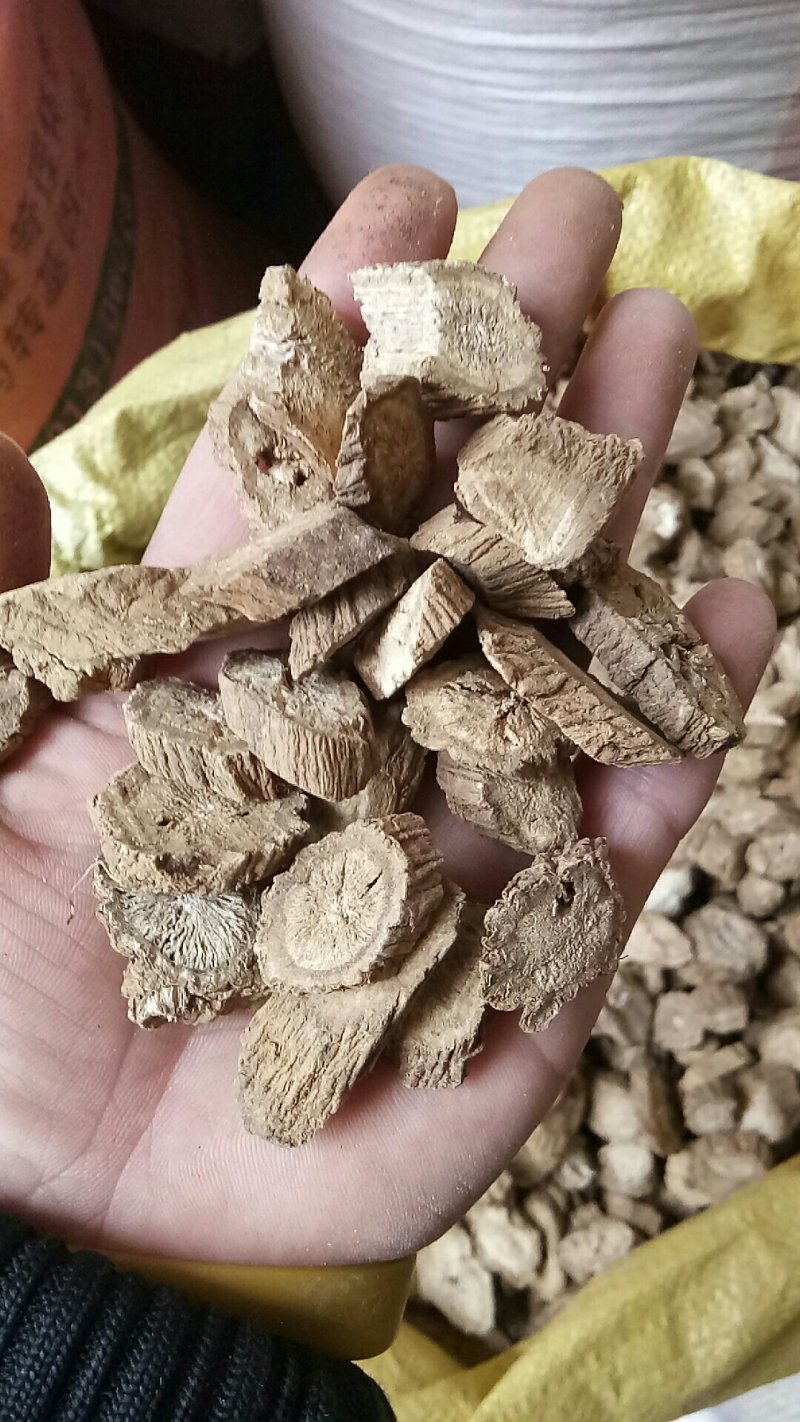 牛蒡根牛蒡统货选货圆片斜片各种规格中药材