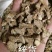 牛蒡根牛蒡统货选货圆片斜片各种规格中药材