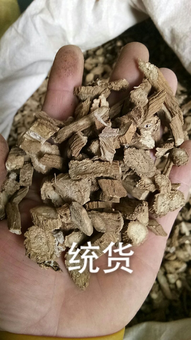 牛蒡根牛蒡统货选货圆片斜片各种规格中药材