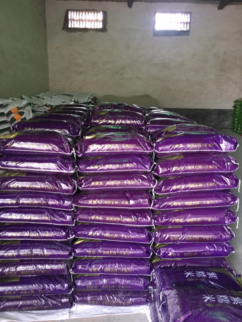 色选紫糯米厂家直销量大从优欢迎打扰