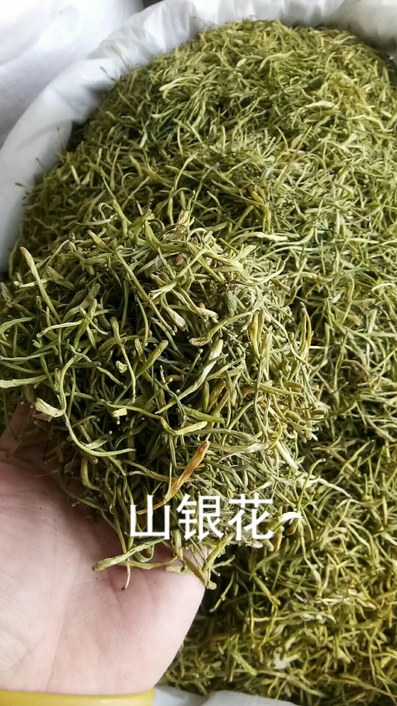 山银花山银花颜色好一公斤起批