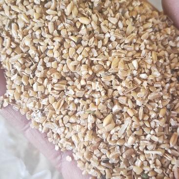 碎麦子粗糠小麦,鸡鸭鹅料草鱼饲料水产食料小麦下脚料麦碎