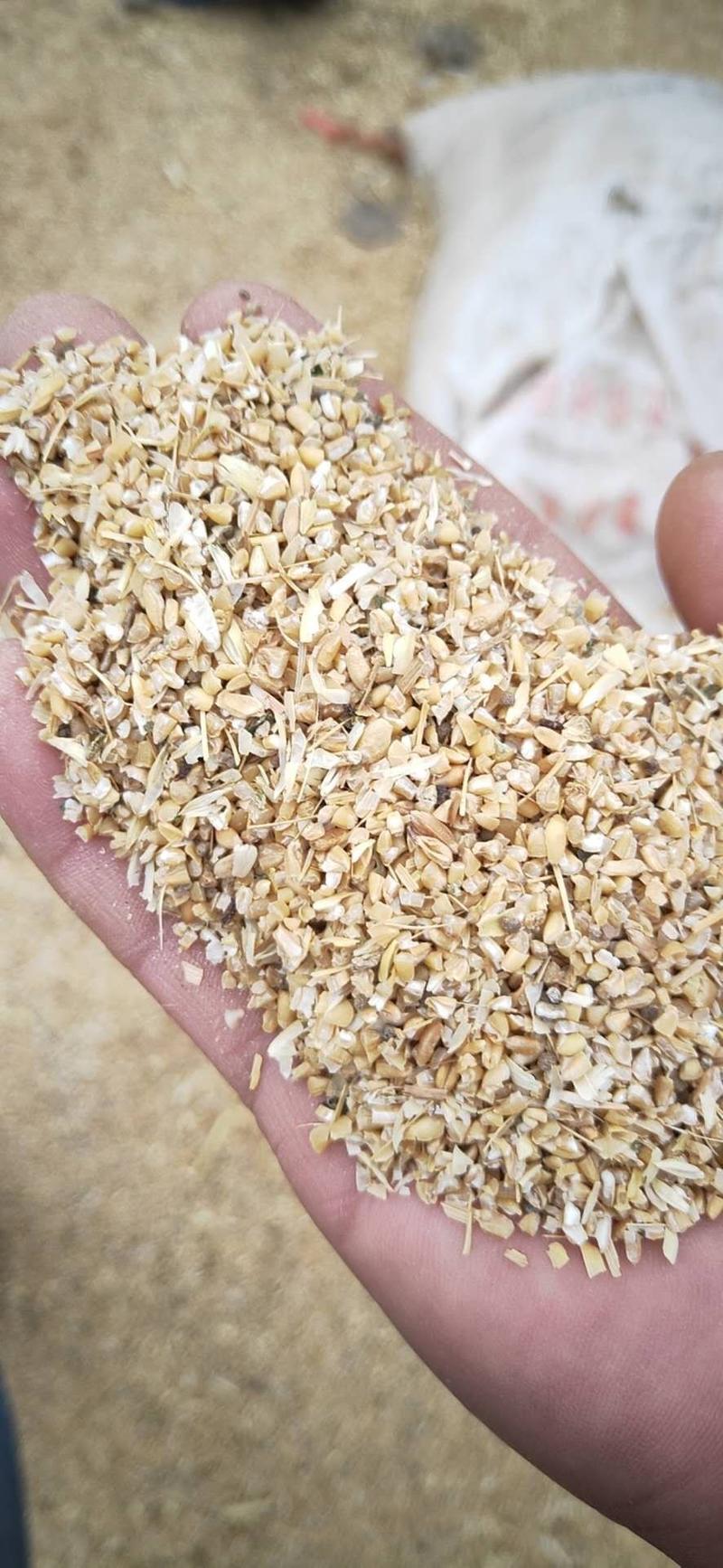 碎麦子粗糠小麦,鸡鸭鹅料草鱼饲料水产食料小麦下脚料麦碎