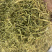 金银花一公斤起批无硫磺熏蒸